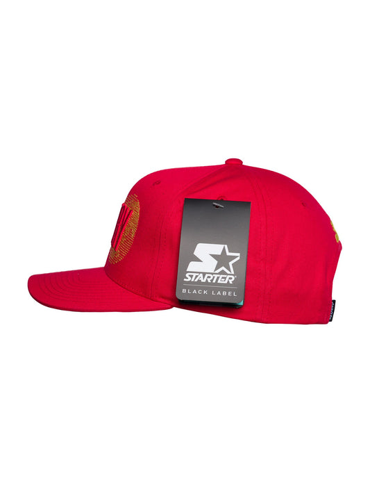Worldwide VCTRY Snapback